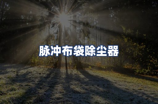 脉冲布袋除尘器